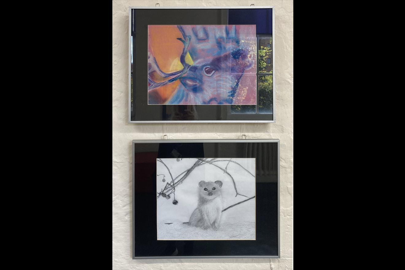 two framed drawings