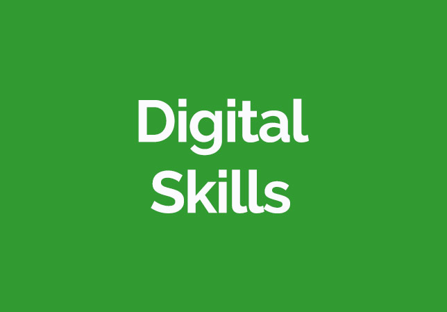 text saying digital skills