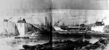 Image of Millwall Docks