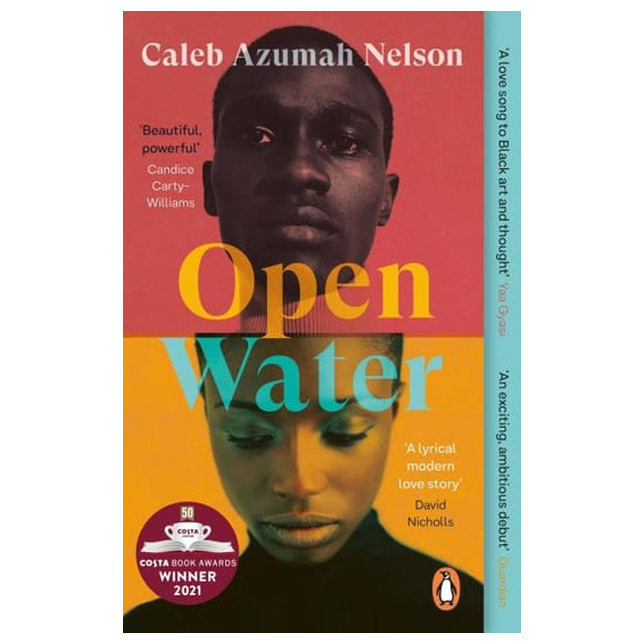 Open water book cover