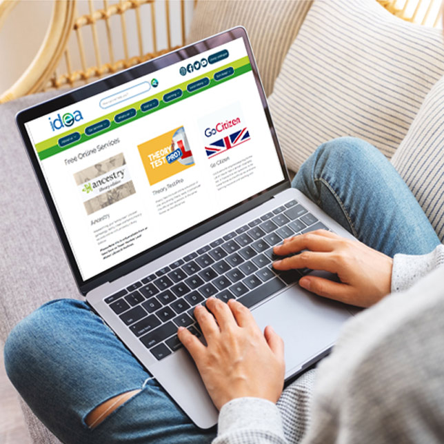 woman using laptop