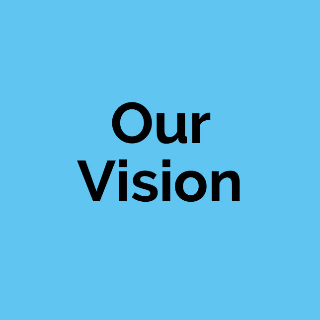 our vision