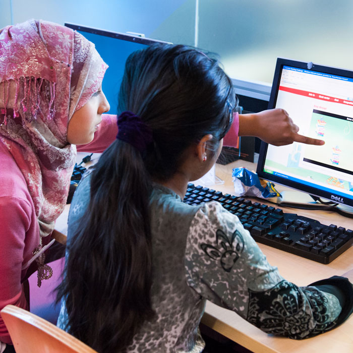 volunteers using a computer