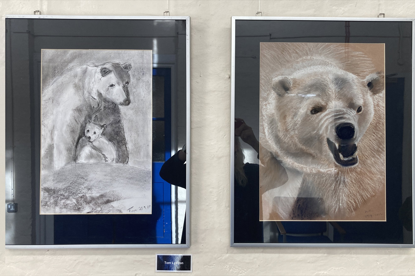 two drawings of bears